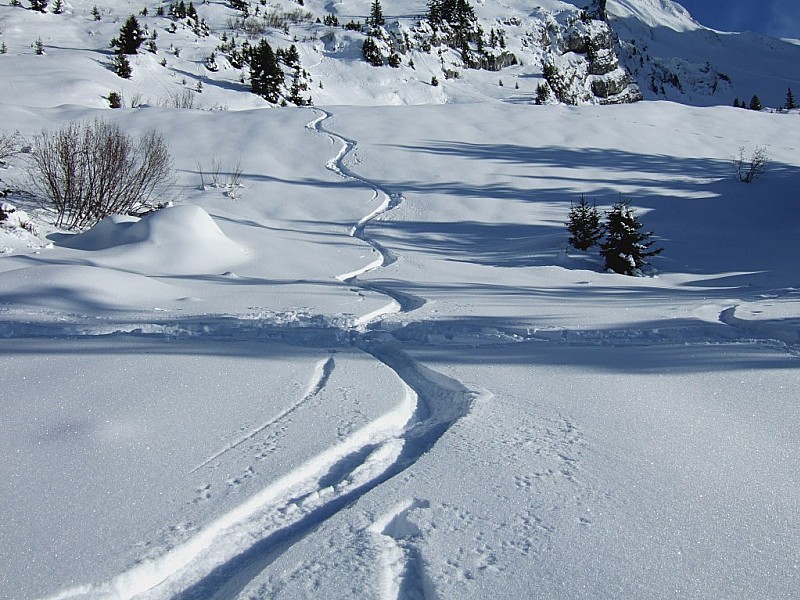 #9 Combe de Tardevant : Un peu plus bas Combe de Tardevant : Un peu plus bas