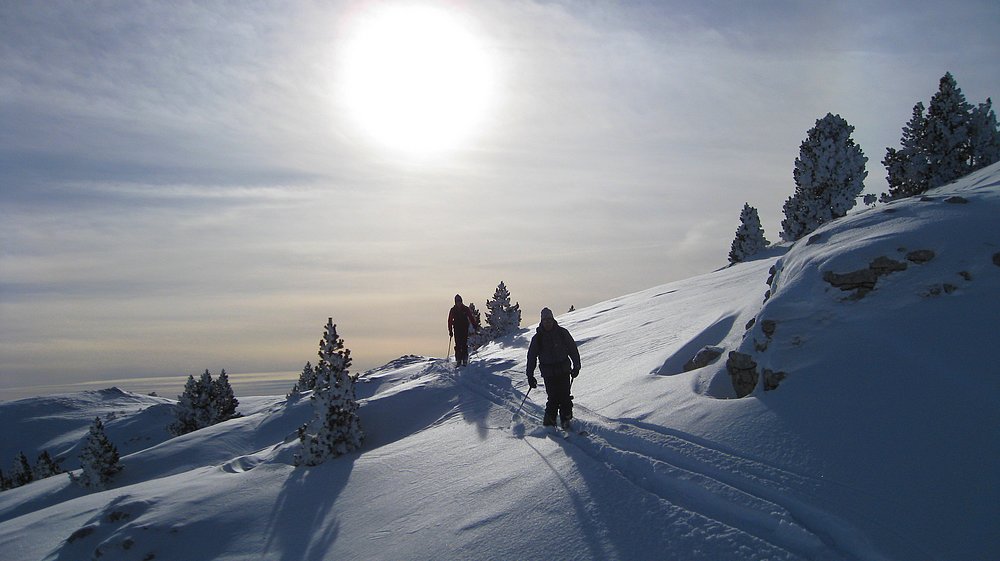 #16 Soleil glacial Soleil glacial