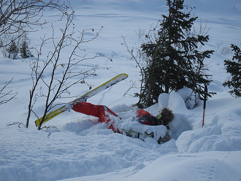 #13 David : ll avait faim de poudre lors de la première descente ;) David : ll avait faim de poudre lors de la première descente ;)