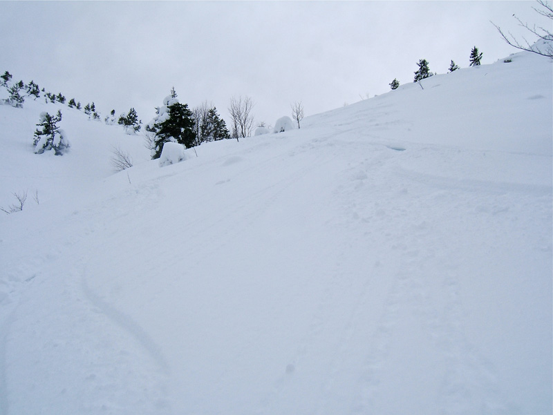 #11 Bernarde Picogu : C Bernarde Picogu : C'est reparti.