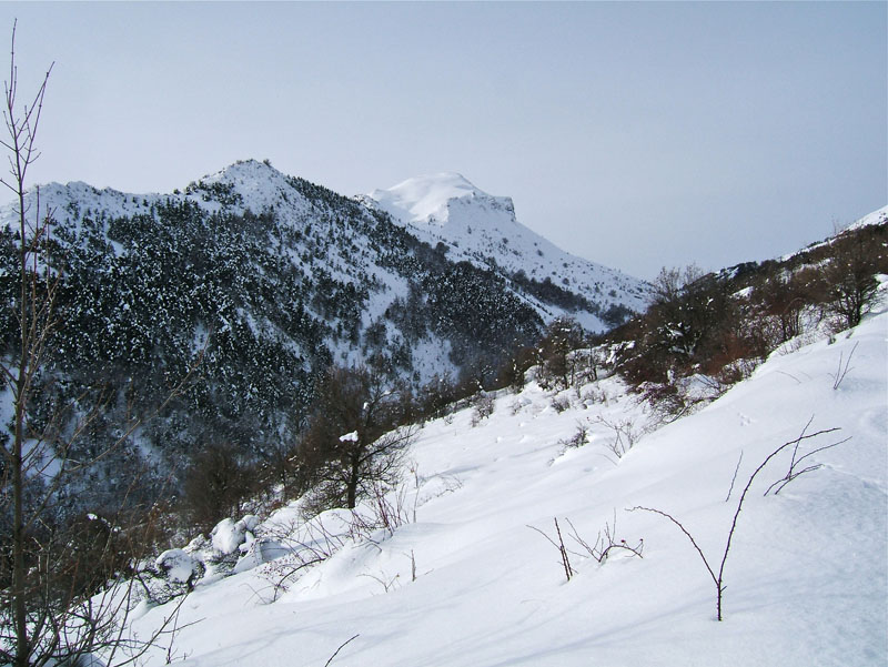 #2 Bernarde Picogu : La cime de Picogu. Bernarde Picogu : La cime de Picogu.