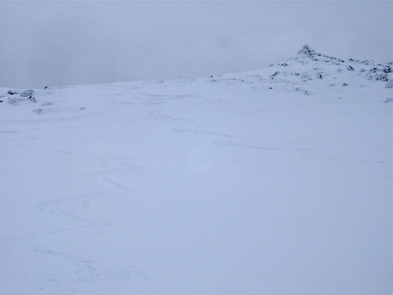 #7 Bernarde Picogu : Pente sommitale avec une poudre plutôt consistante. Bernarde Picogu : Pente sommitale avec une poudre plutôt consistante.