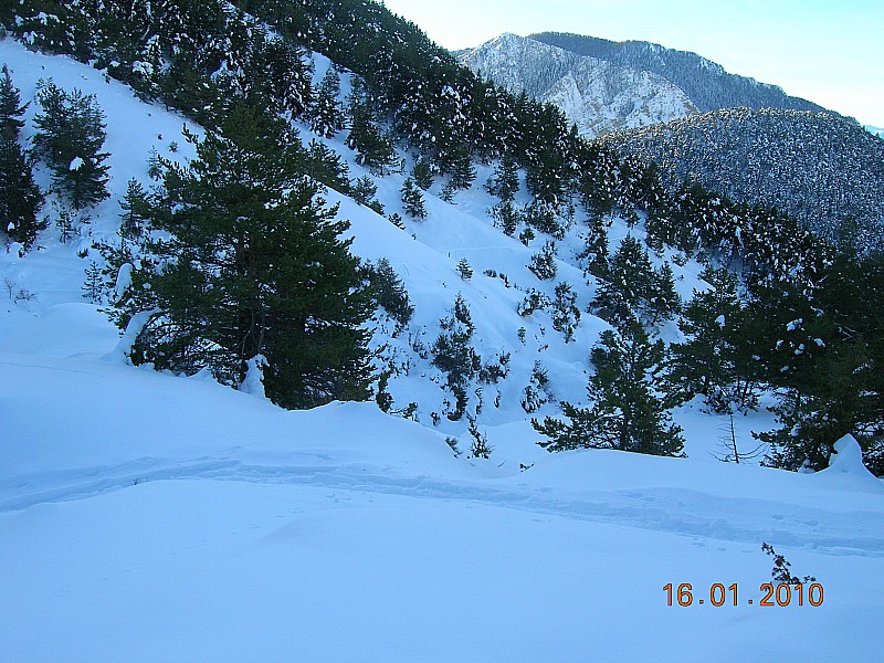 #1 col des Fourches : brassage dans la foret col des Fourches : brassage dans la foret