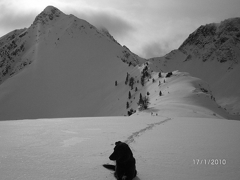 #1 crête de la Lauzette : Destination initiale, le Petit Peygu restera encore vierge aujourd crête de la Lauzette : Destination initiale, le Petit Peygu restera encore vierge aujourd'hui.
A droite le col des Peygus.