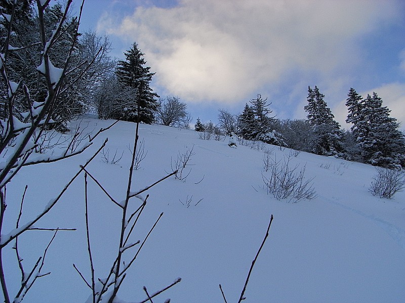 #5 Prairie : Prairie bien à l Prairie : Prairie bien à l'abri des vents