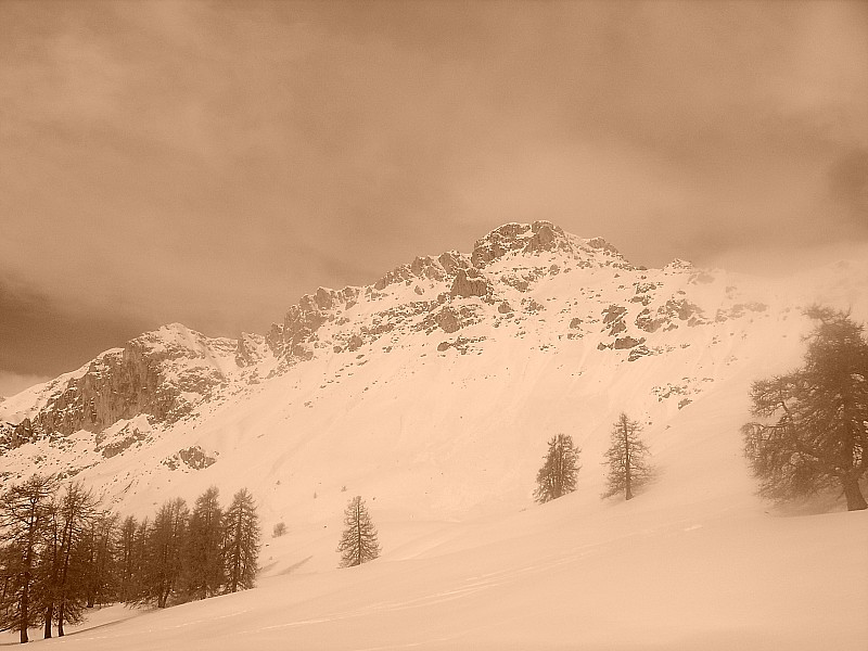 #5 Parias : parias version sepia Parias : parias version sepia