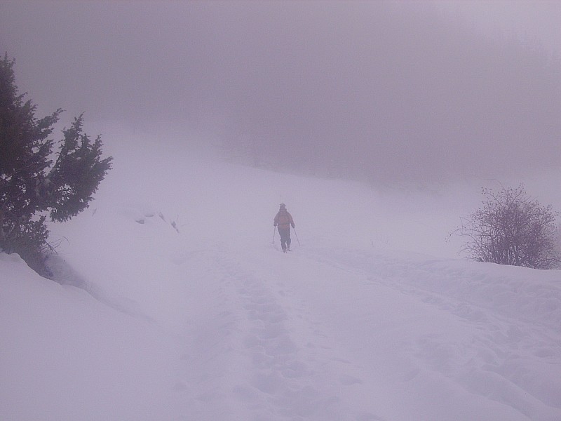 #1 Sophie dans la brume : Je te jure que le soleil est au dessus! Sophie dans la brume : Je te jure que le soleil est au dessus!