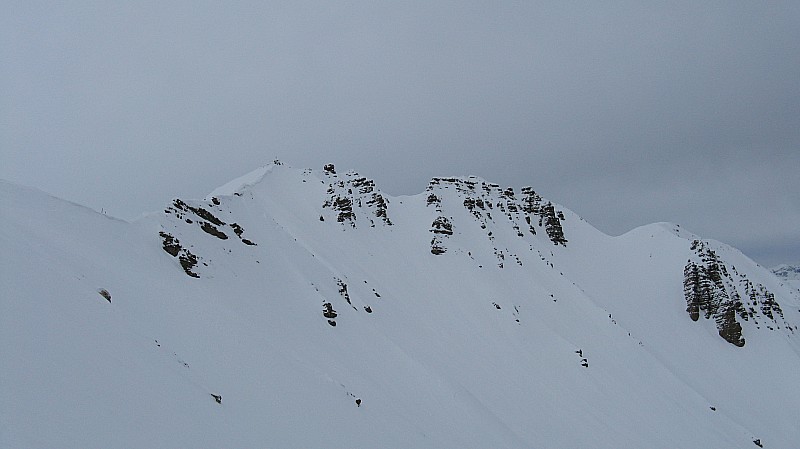 #5 Tête de Soleil Boeuf : à faire aussi mais pour une prochaine fois Tête de Soleil Boeuf : à faire aussi mais pour une prochaine fois
