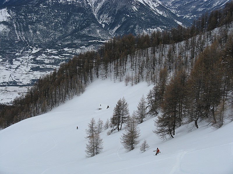 #11 Cabane de Soleil Boeuf : petite visite de courtoisie Cabane de Soleil Boeuf : petite visite de courtoisie