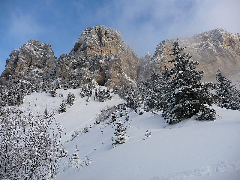 #2 La grotte : Sortie du bois La grotte : Sortie du bois
