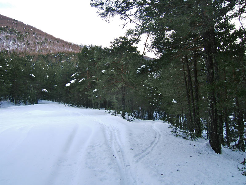 #14 Chamatte : La jonction de l Chamatte : La jonction de l'itinéraire de montée et descente.