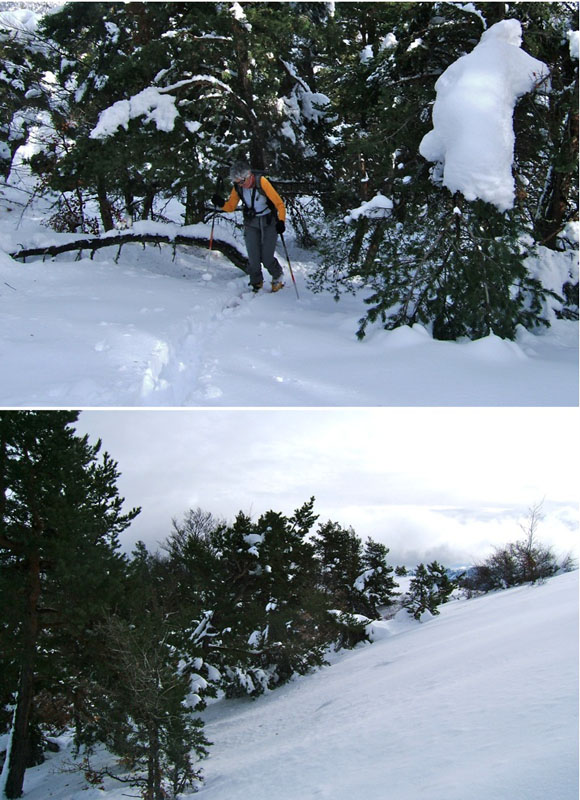 #4 Chamatte : On arrive sur la crête. Chamatte : On arrive sur la crête.