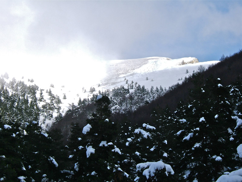 #12 Chamatte : Sommet à coté, on voit bien le déneigement par le travail du vent. Chamatte : Sommet à coté, on voit bien le déneigement par le travail du vent.