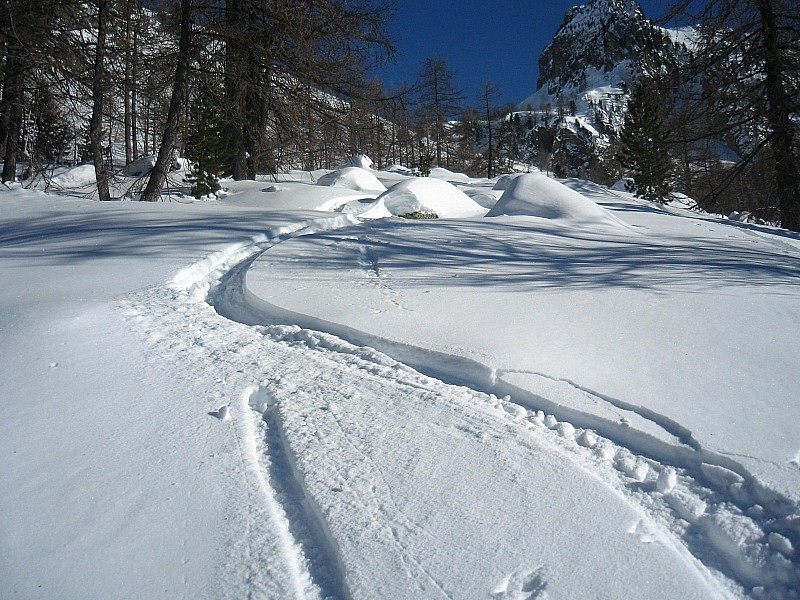 #9 plus bas : neige meilleure. plus bas : neige meilleure.