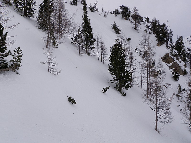 #1 Pente : La combe qu Pente : La combe qu'on a prise. Je met volontairement cette photo ou on voit bien la pente pour avoir des avis a propos des risques d'avalanche (ce jour la c'était risque 3 en dessous de 2400m sur toutes les expos).