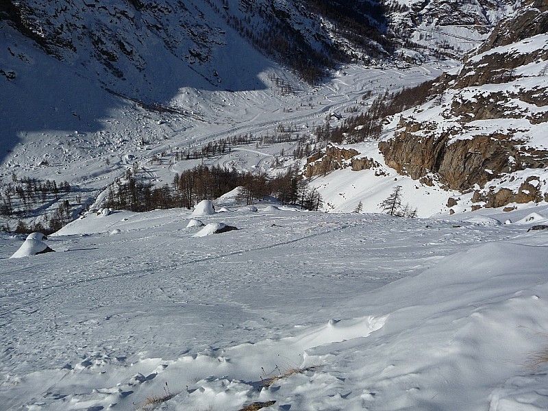 Grand paradis : au départ de Pont, dans les pentes au-dessus de la forêt.