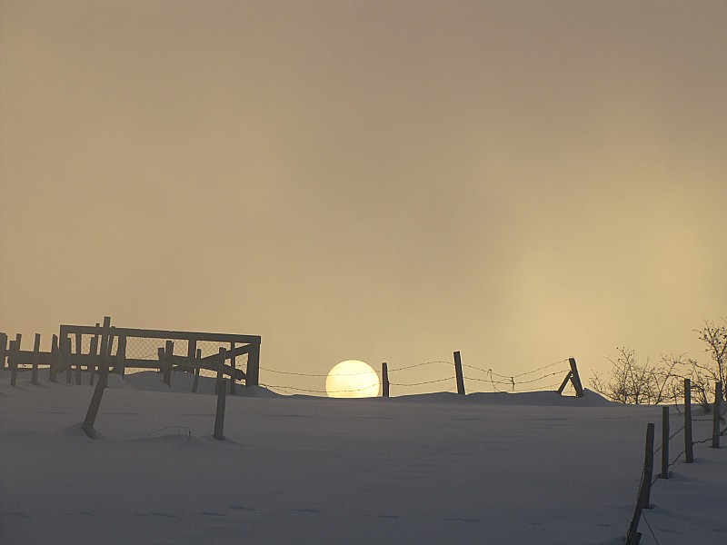 #4 soleil couchant : le soleil au milieu du brouillard soleil couchant : le soleil au milieu du brouillard