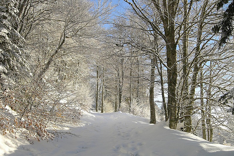 #1 Sentier vers Meije Costes : Quelle lumière! Sentier vers Meije Costes : Quelle lumière!