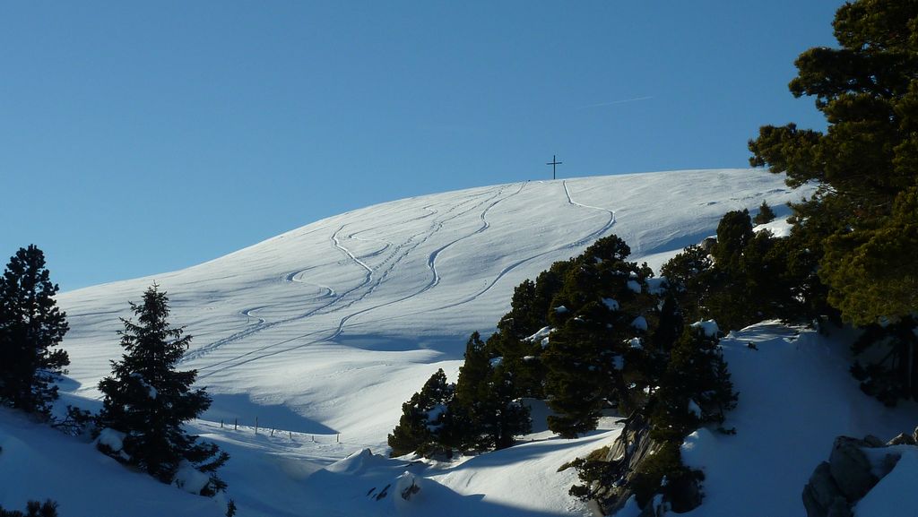 #15 Croix de l Croix de l'Alpe : les gros cochons d'alpins se sont déjà bien gavés !!!!!