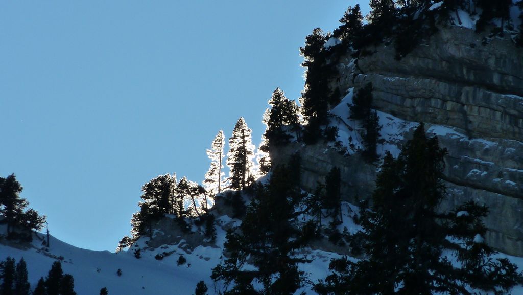 #14 Col de l Col de l'Alpe : embrasement des arbres !!!