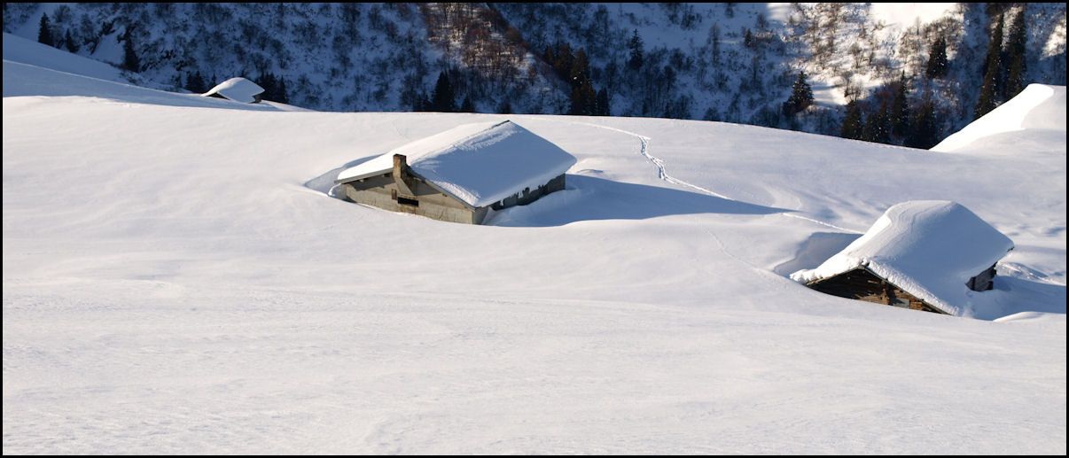 #3 Le césar : vu d Le césar : vu d'en haut