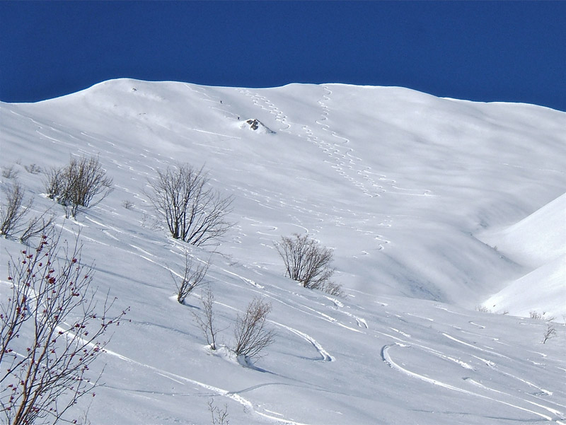 #6 Pianard : A nous les belles traces au sommet. Pianard : A nous les belles traces au sommet.