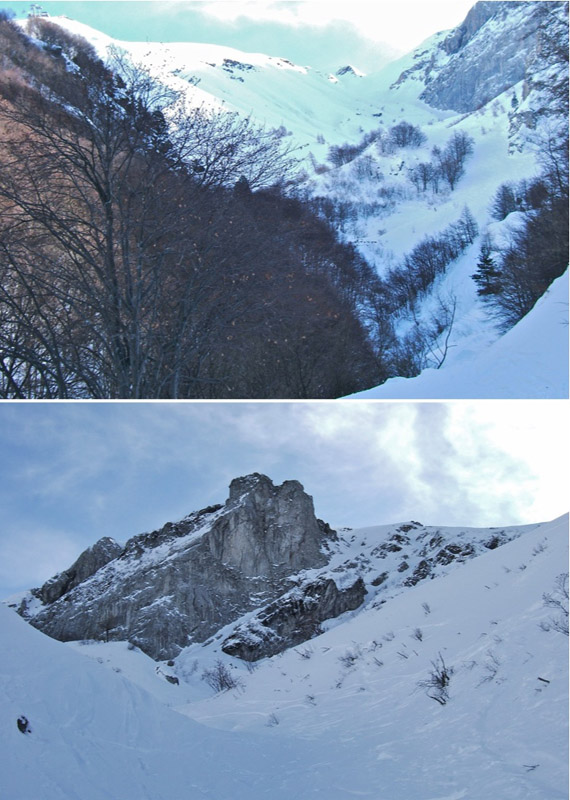 #1 Pepino : Tout a été ravagé par le hors piste. Pepino : Tout a été ravagé par le hors piste.