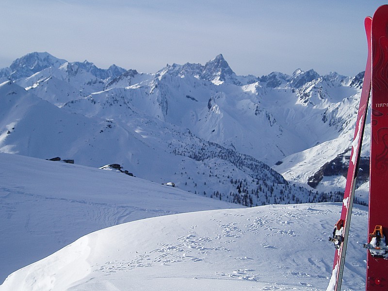 Bonsai : Vue Mont-Blanc / Jorasse du sommet (mais pas que!)