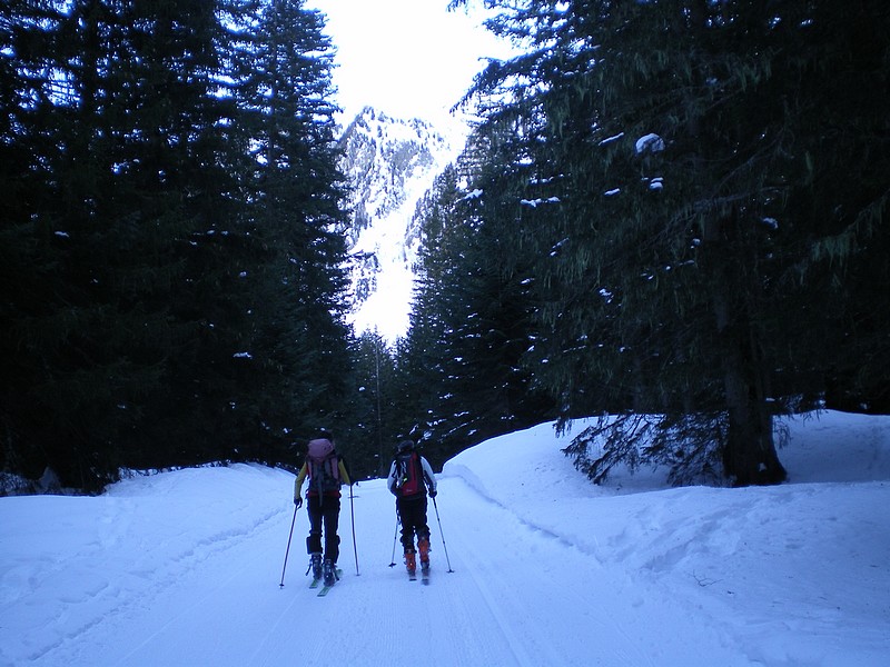#1 Juisse : Couloir de Juisse, purgé jusqu Juisse : Couloir de Juisse, purgé jusqu'au terrain dans le bas