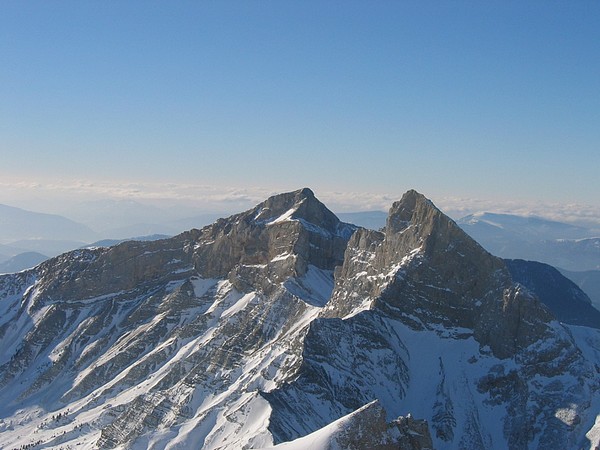 #4 Garnesier : Tête de Garnesier Garnesier : Tête de Garnesier