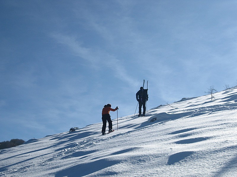 #1 à la sortie du bois à la sortie du bois