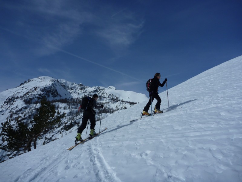 #2 Paracouerte : Lio & Vio en plein effort Paracouerte : Lio & Vio en plein effort