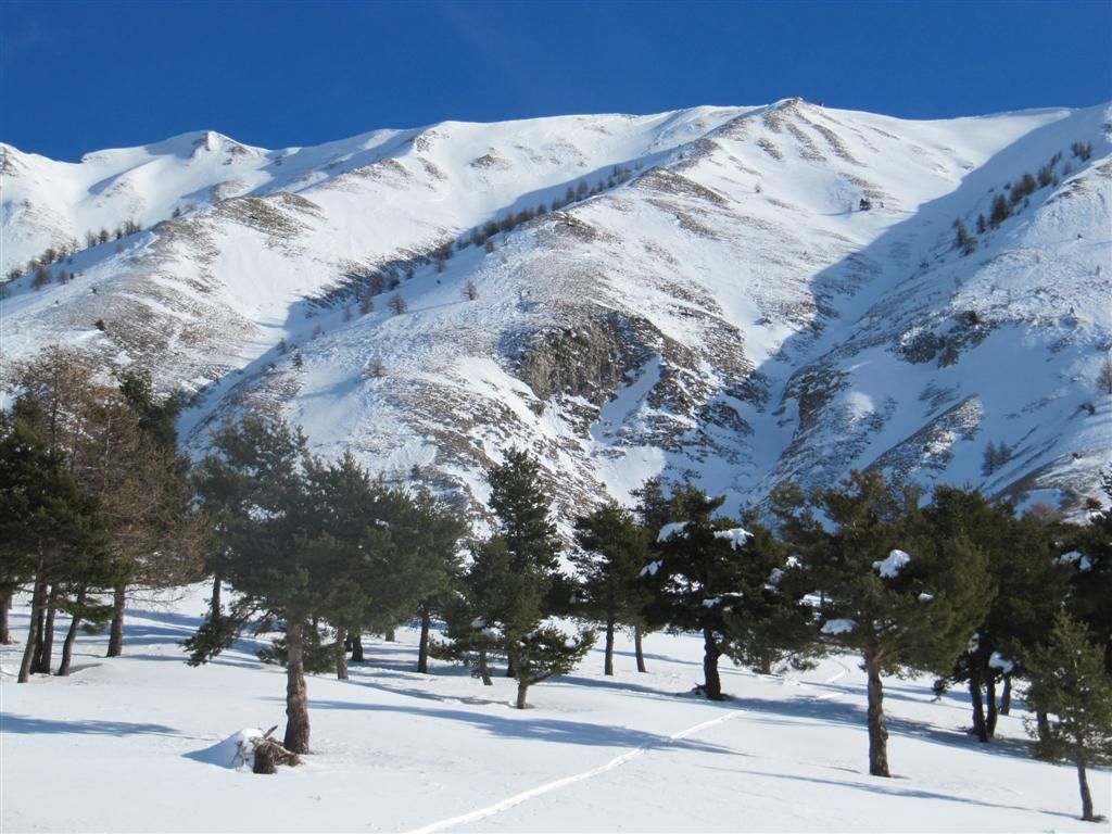 #1 versant de montée : versant de montée vu depuis la cote 1600 m versant de montée : versant de montée vu depuis la cote 1600 m