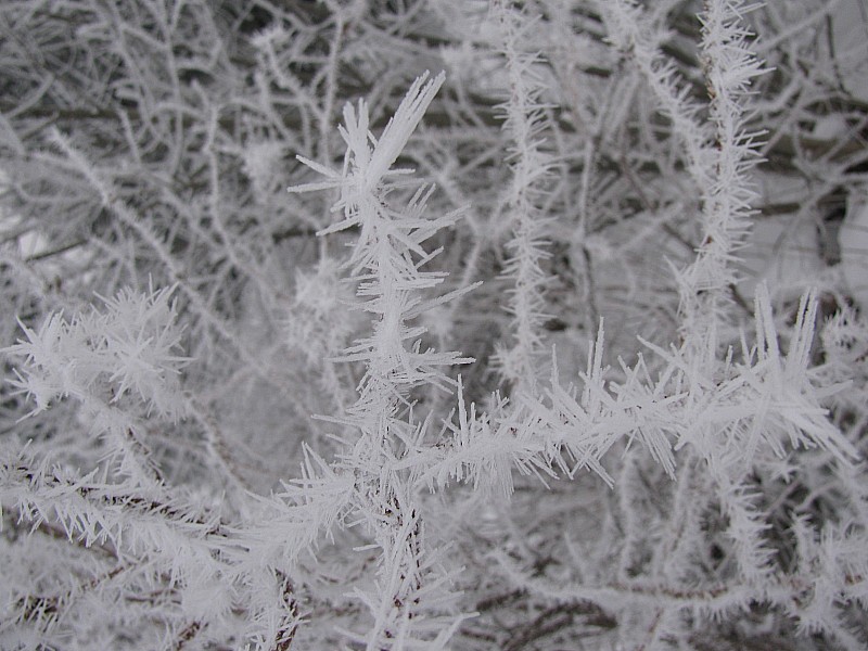 #1 Brouillard givrant : Même résultat sur les randonneurs Brouillard givrant : Même résultat sur les randonneurs