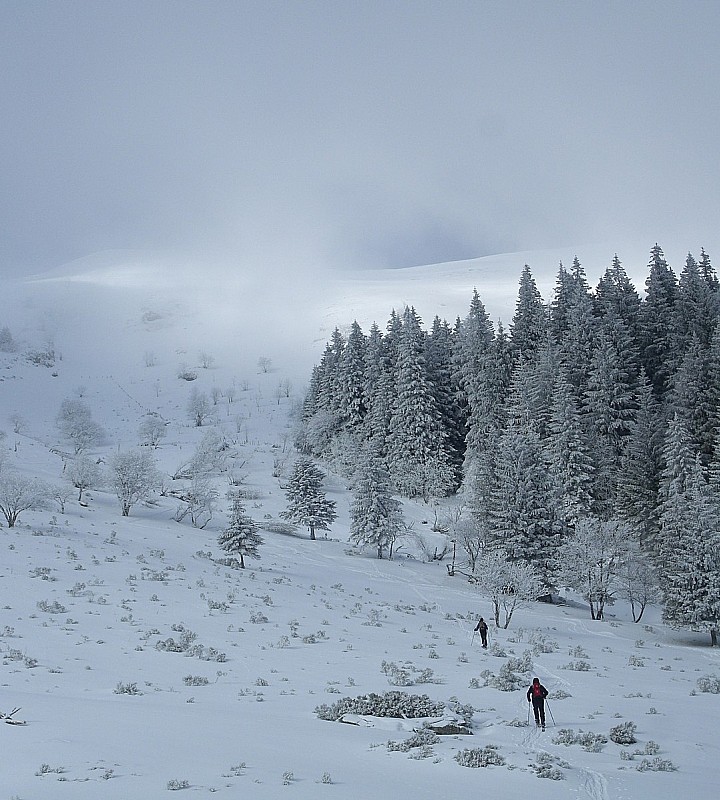#3 Vers le sommet : Ciel changeant Vers le sommet : Ciel changeant
