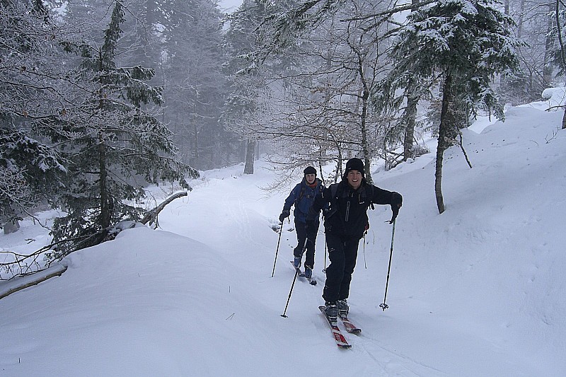 #2 Montée dans la forêt : Ici on y voit clair Montée dans la forêt : Ici on y voit clair