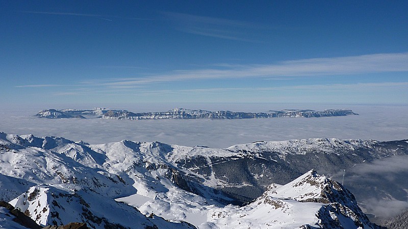 #8 chartreuse flotte chartreuse flotte