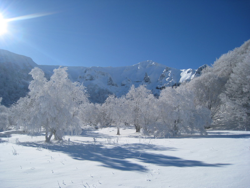 Vallée de Chaudefour : Givre et soleil