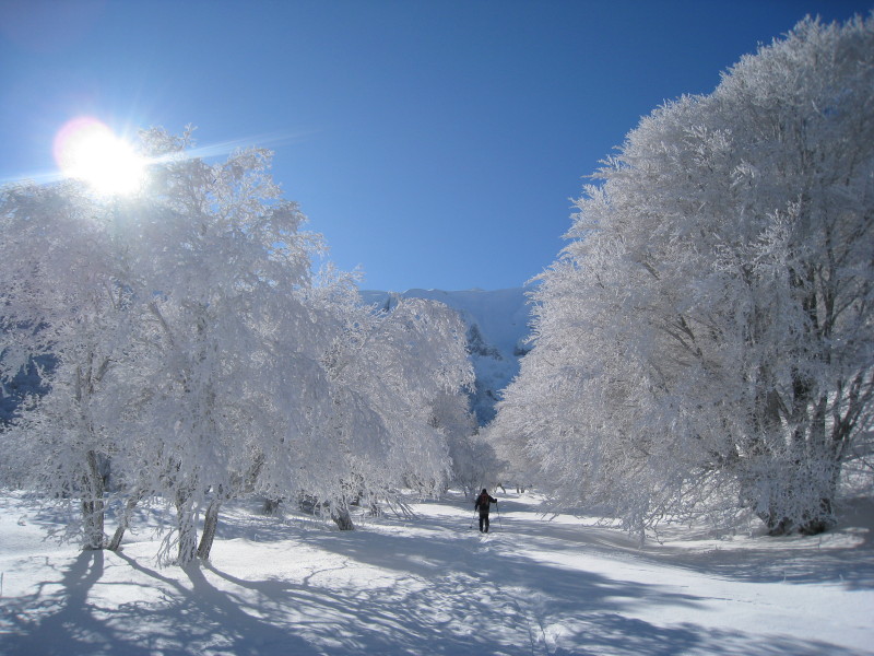 #9 Vallée de Chaudefour : Les arbres se sont parés de leur plus beaux atours pour sa Seigneurie Vallée de Chaudefour : Les arbres se sont parés de leur plus beaux atours pour sa Seigneurie
