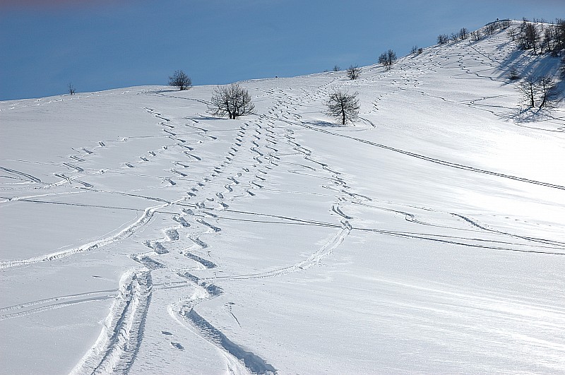 #3 Traces au dessus de la Baisse : belles traces au dessus de la Baisse de Peyrefique.
autre itinéraire de descente plus facile avec une pente moins marquée mais très agréable Traces au dessus de la Baisse : belles traces au dessus de la Baisse de Peyrefique.
autre itinéraire de descente plus facile avec une pente moins marquée mais très agréable