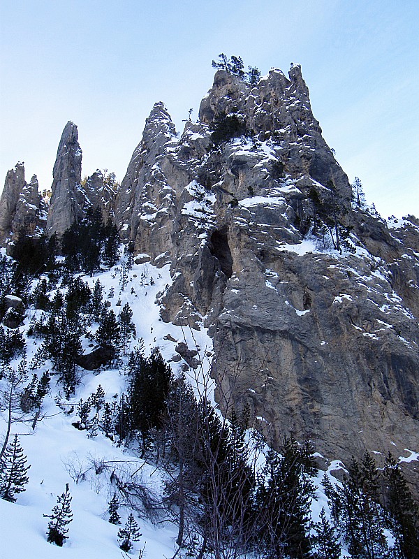 #7 Aiguille : et des arbres qui en veulent !!! Aiguille : et des arbres qui en veulent !!!