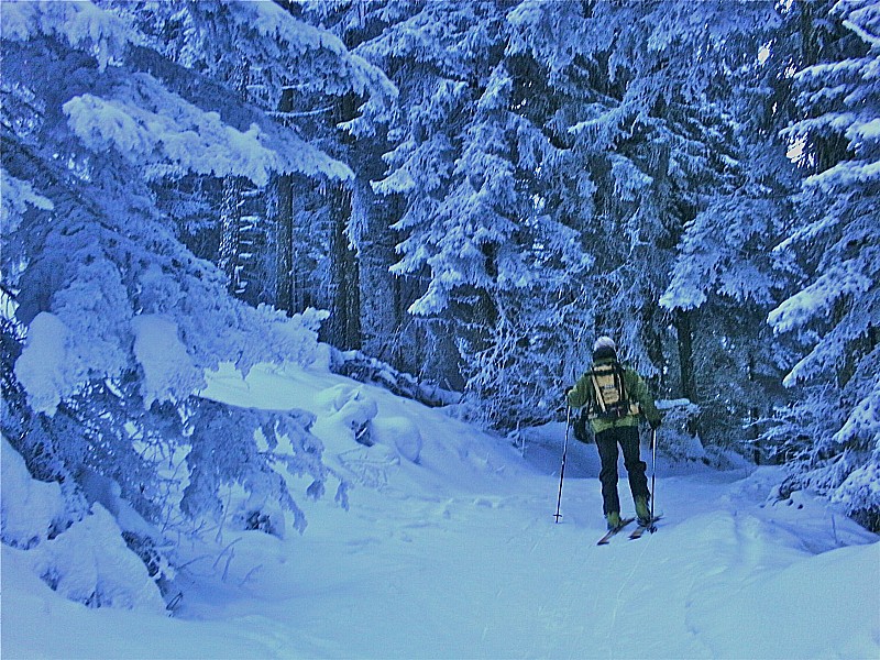 #2 Montée : sous la neige... Montée : sous la neige...