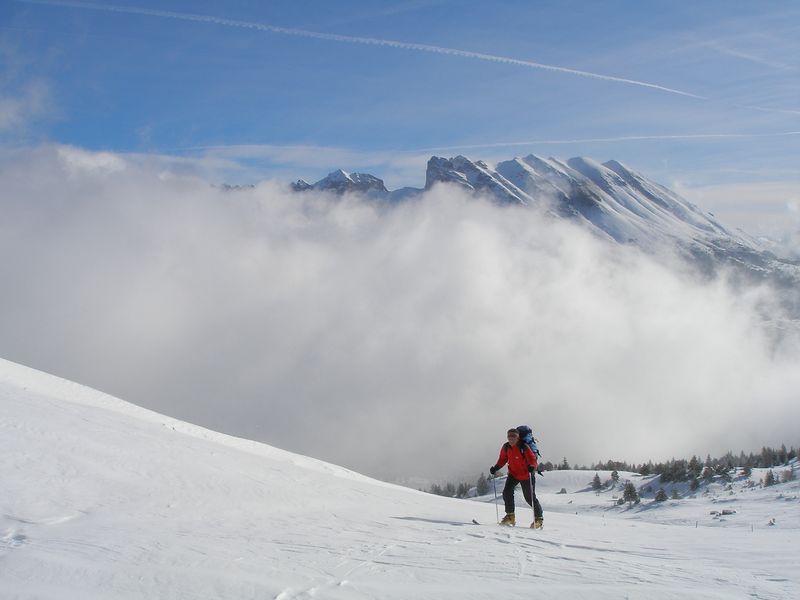 Vallon du Mas : La Montagne de Faraut au soleil