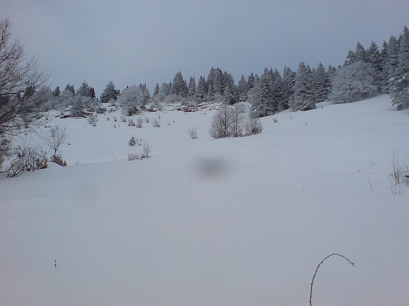 #1 Prairie Ouest : Prairies de Bellecombe versant Ouest Prairie Ouest : Prairies de Bellecombe versant Ouest