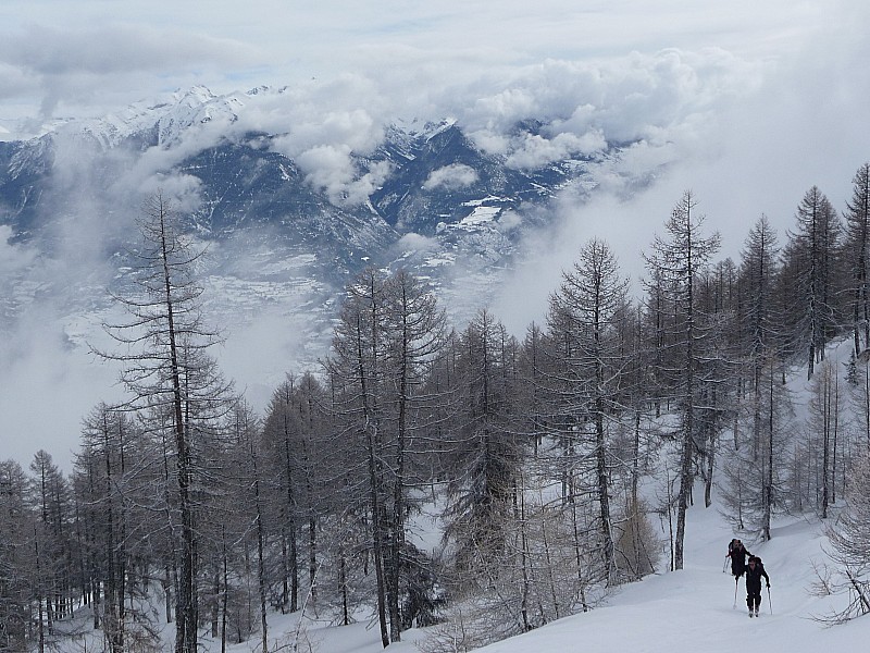 #2 Tête de Fouran : Forêt bonne neige Tête de Fouran : Forêt bonne neige