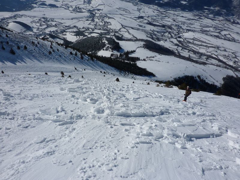#4 Piquet de Nantes : la coulée s Piquet de Nantes : la coulée s'arrête au fond dans la forêt