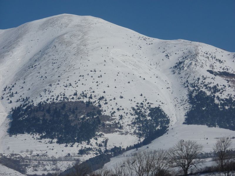 #7 Piquet de Nantes : vu d Piquet de Nantes : vu d'en face.