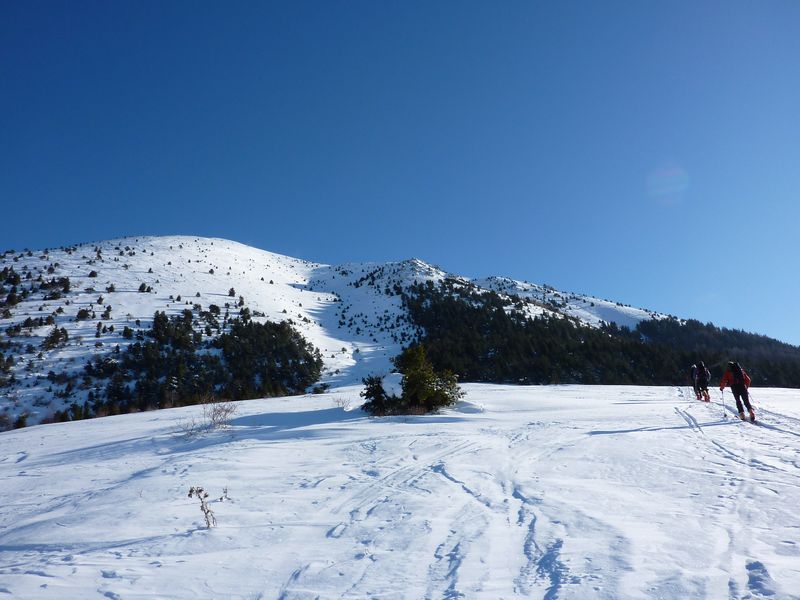 #1 Piquet de Nantes : jusque là, tout va bien. Piquet de Nantes : jusque là, tout va bien.