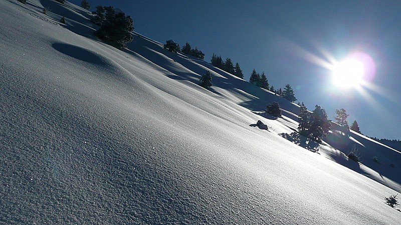 #5 Sous le soleil ... : ... exactement Sous le soleil ... : ... exactement