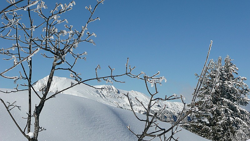 #11 Au sommet de La Scia : Vue sur le Grand Som Au sommet de La Scia : Vue sur le Grand Som